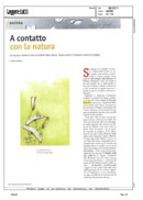 edicart
